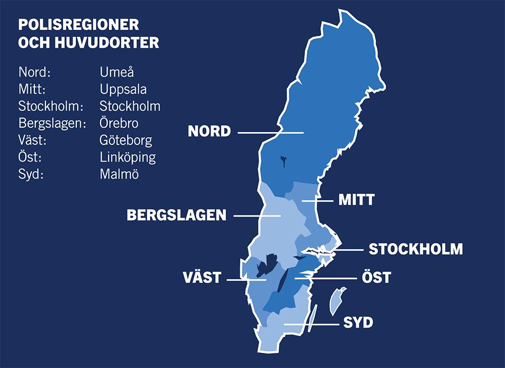 Som chef för en ekonomifunktion ingår du i ekonomiavdelningens ledningsgrupp. Du kan också komma att ingå i respektive polisregions/avdelnings ledningsgrupp.