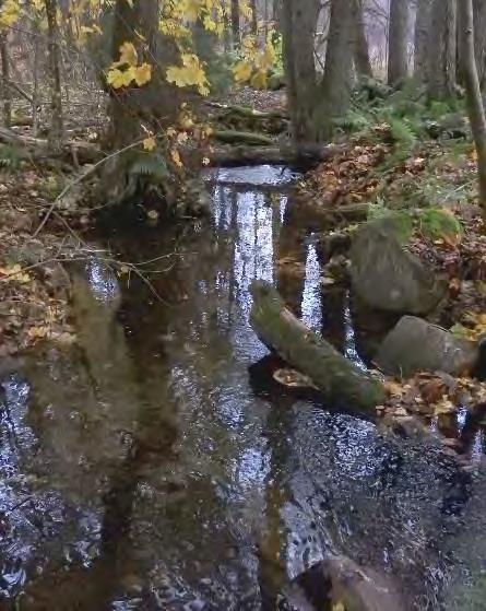 LAGAN VÄNNEÅN FRÅN ÖSSJASJÖN VÄNNEÅN FRÅN ÖSSJASJÖN MV18 BESKRIVNING AV