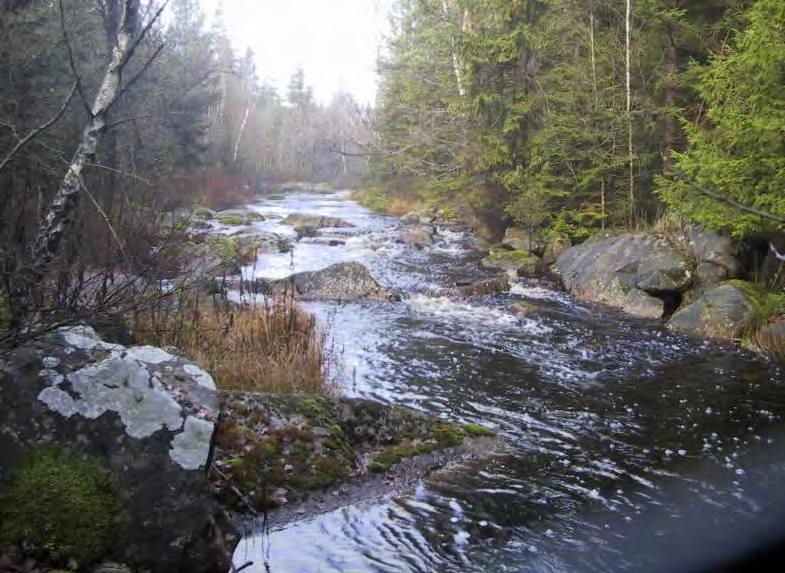 MIEÅN DREVÅN FRÅN DREVSJÖN Drevån ca 1 km nedströms Drevsjön vid normalflöde resp strax nedströms Drevsjön vid extremt lågt flöde