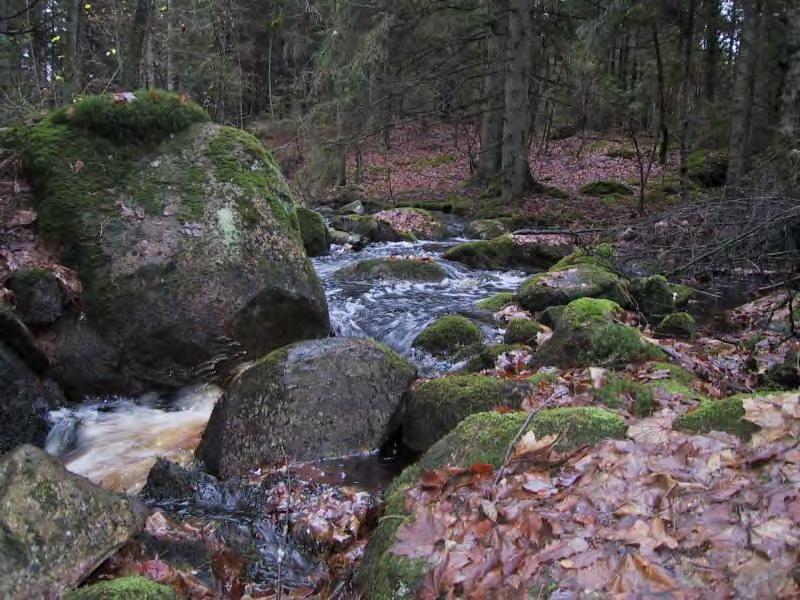 SKRÄBEÅN FARABOLSÅN FRÅN VÄSTRA GYL Farabolsån uppströms Siggaboda damm Farabolsån vid väg uppströms