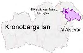 ALSTERÅN HÖKABÄCKEN FRÅN HJÄRTSJÖN HÖKABÄCKEN FRÅN HJÄRTSJÖN MV03 BESKRIVNING AV MÅLOMRÅDET Allmänt Hökabäcken som är det översta målvattendraget i åtgärdsområdet har en längd av 4,0 km och ett