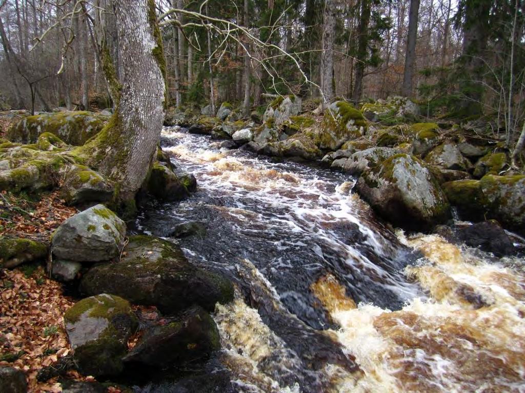 BRÄKNEÅN BRÄKNEÅN FRÅN TIKEN Bräkneån vid Stenfors Bruk Bräkneån vid Knällsberg, lågvatten