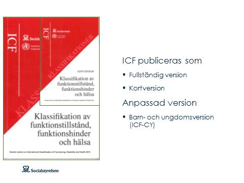 1.6 Olika versioner Bild 6 ICF presenteras i två versioner för att möta olika användares behov av detaljeringsnivå.