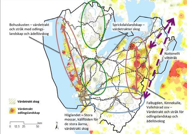 Figur 5. Fem områden med särskild betydelse för biologisk mångfald i förhållande till infrastruktur.