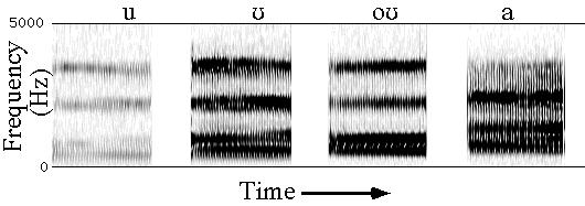 Spektrogram Ett spektrum kan ses i tidsperspektiv genom att visa det med vad som kallas ett
