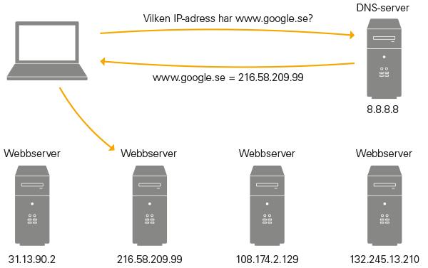 DNS DNS Alla webbservrar på nätet har en IP-adress.