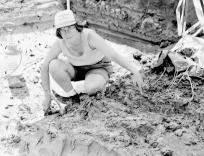 Delfinskallen rensas fram av Margareta Johansson. Foto Bengt Nordqvist. U 3753. Fig.