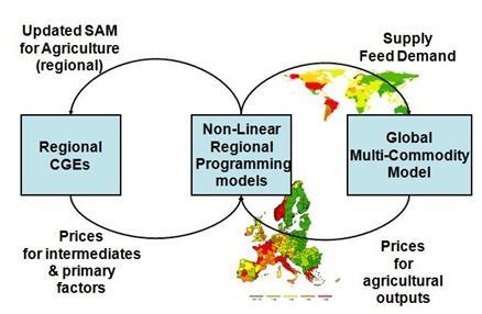 dödvikt (kontrafaktiska scenarier) AgriPoliS - Agricultural Policy