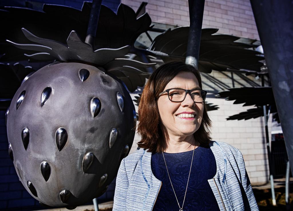 BRITT LUNDBERG: HELA NORDENS PRESIDENT Britt Lundberg: Hela Nordens president Gränshindren ska bort. Det är avgörande för både tillväxt och sysselsättning.