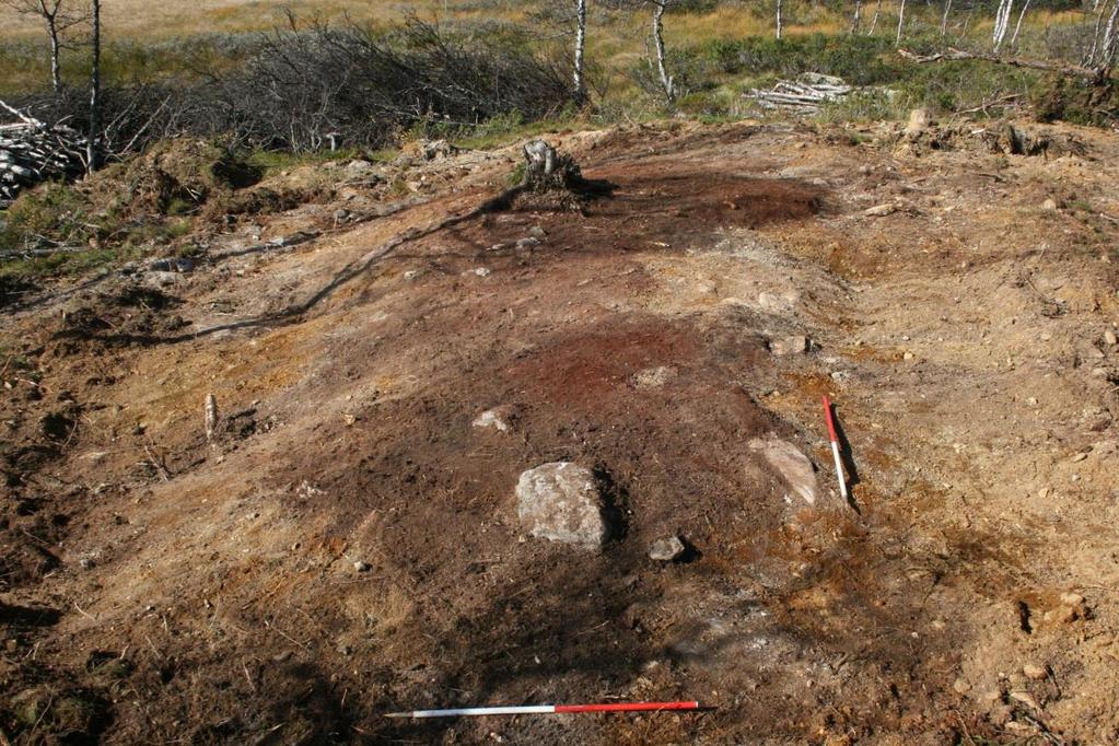 Cf34475_009 översiktsfoto av rostplats Id 100083. Sett mot norr. Fotograf: Lars Søgaard Sørensen Det grävdes ett profilschakt med en längd på 8,3 m och en bredd på 0,5 m.