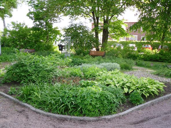 Perennplantering av Woodland karaktär i Nytröm park. PARKER, ALLMÄNNA PLATSER OCH GESTALTNING Ett angeläget ämne i medborgardialogen var orten allmänna plater, bl.a. de getaltning och funktionalitet.