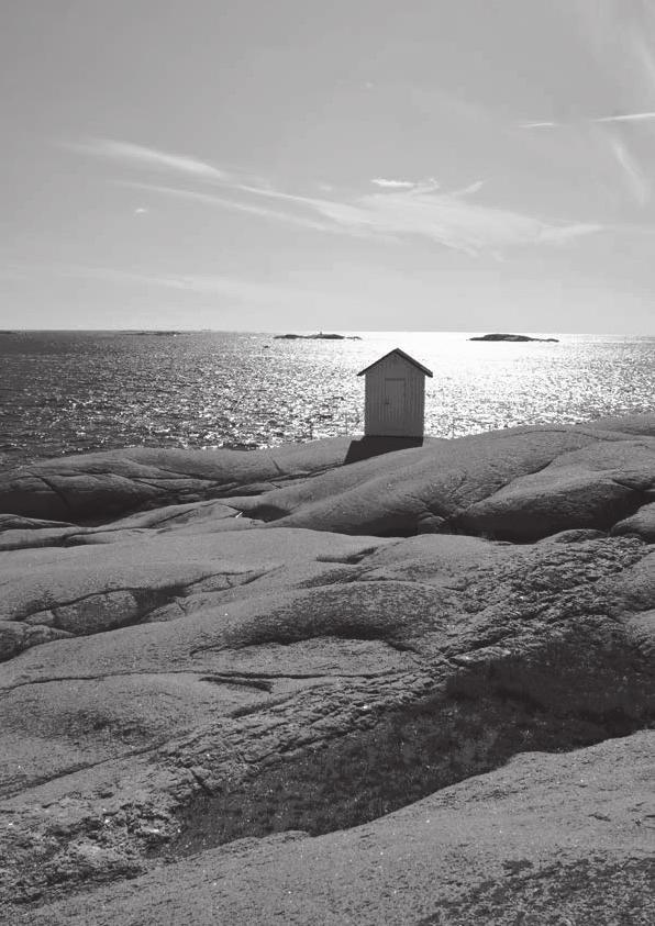 RÄKENSKAPER 30