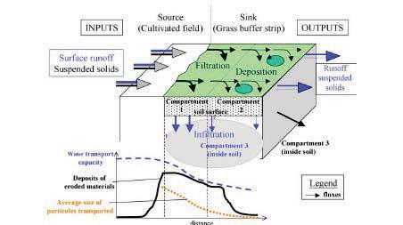 Figur 32. Principen för hur en skyddszon fungerar för att minska transporten av ämnen från odlad mark (från Dorioz et al., 2006, med tillstånd från Agriculture, Ecosystems and Environment).