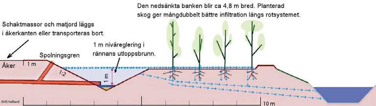 Figur 33. Teknisk principskiss för en integrerad skyddszon (Hushållningssällskapet i Halland 2017). 9.2.5.