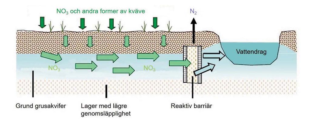 reduktion till ammonium.