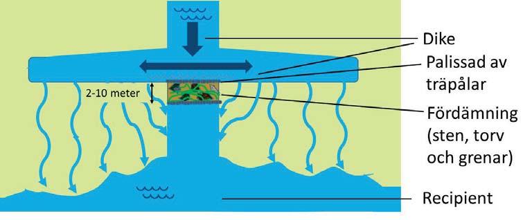 löst fosfat (Liljaniemi et al., 2003). Man tolkade resultaten som att längre och bredare översilningsområden behövs än de som skapades genom en enkel igenfyllnad av diket. Väänänen et al.