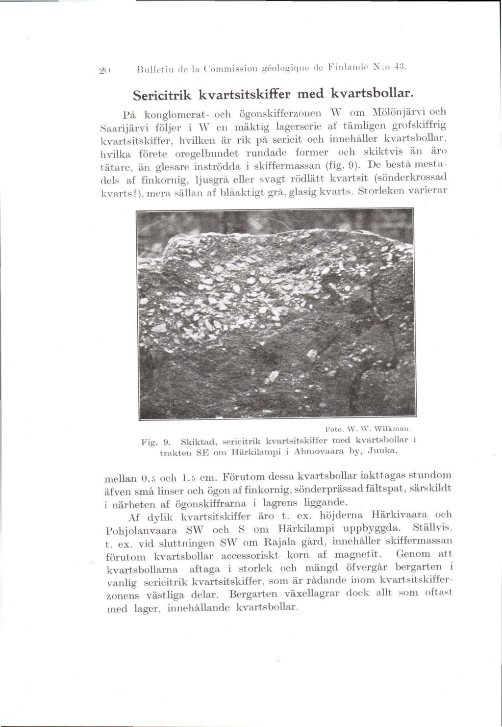 Riilletiii (le la ('ommission g8ologiqiie dc Fiiilan(le N :o 43. Sericitrik kvartsitskiffer med kvartsbollar.