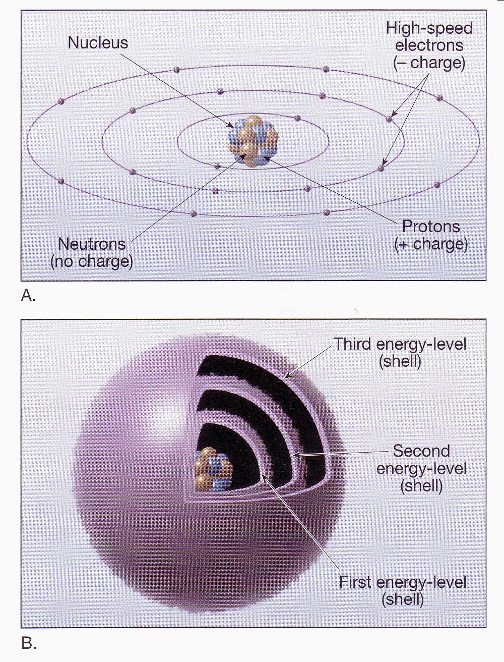 Model of atom Atomic number = number of