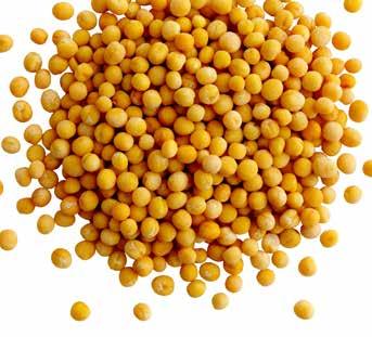 44:90 39 90 MÜSLI ORIGINAL 1,3