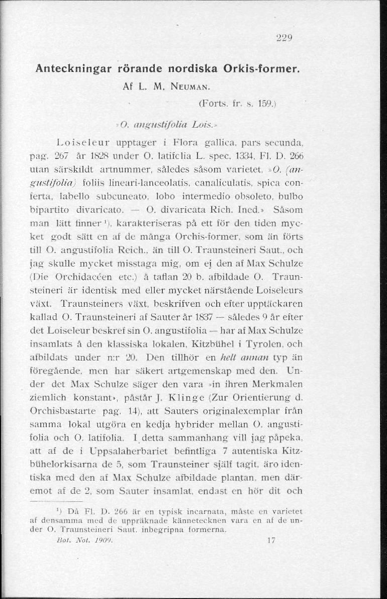 229 Anteckningar rörande nordiska Orkis-former. Af L. M. NEUMAN. O. angnstifolia Lois. (Forts. fr. s. 159.) Loiseleur upptager i Flora galliea. pars secunda, pag. 267 är 1S2S under O. latifclia L.