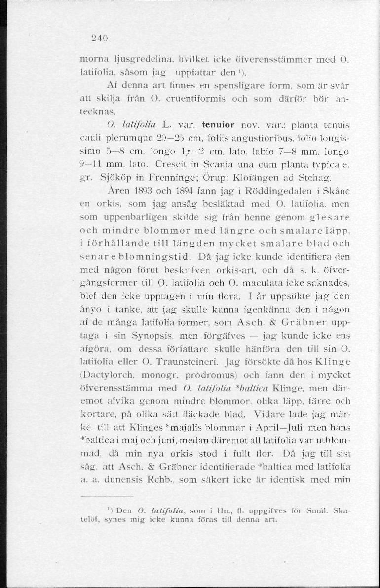 240 morna ljusgredelitia. hvilket icke Öfverensstämmer med O. latifolia, såsom jag uppfattar den '). Af denna art tinnes en spensligare form, som är svär att skilja från O.