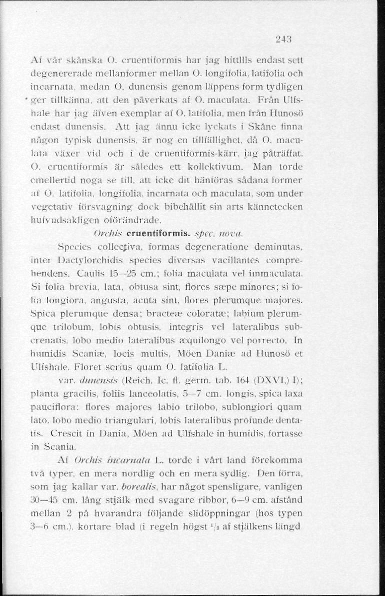 243 Ai vår skånska O. cruentiformis har jag hittills endast sett degenererade mellanformer mellan O. longifolia, latifolia och incarnata. medan ö.