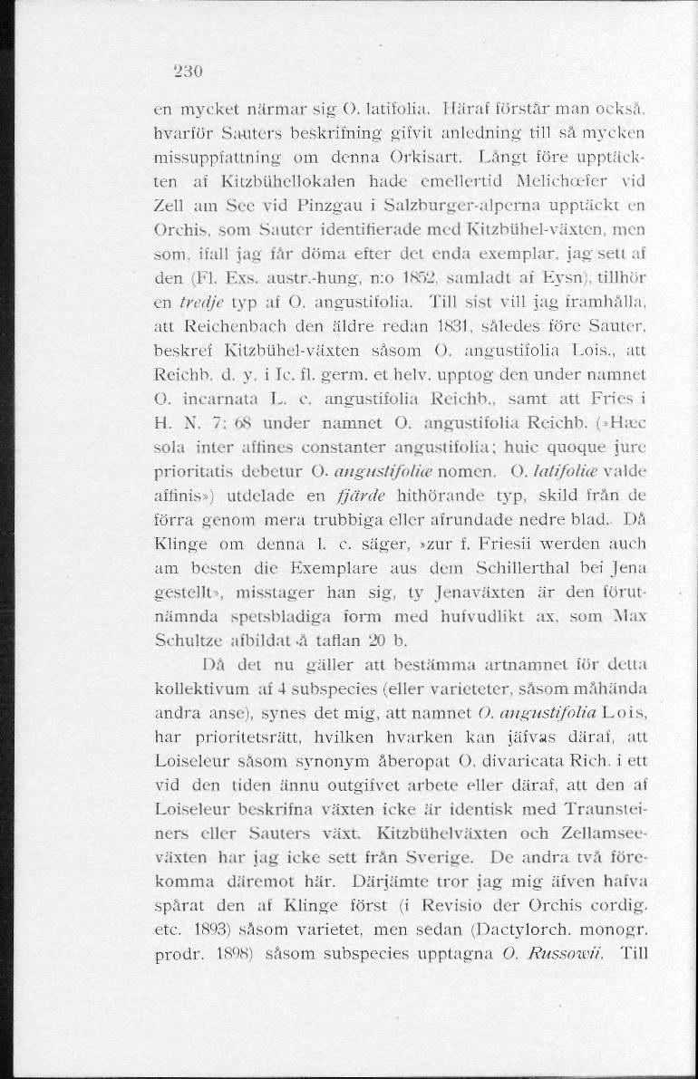 230 en mycket närmar sig O. latifolia. Häråt törstar man också, hvarför SfWlters beskritning gifvil anledning till sä mycken missuppfattning om denna Orkisart.