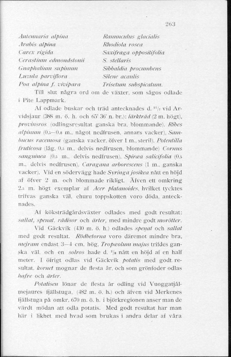 2(33 Antennaria alphiii Ranimcutits glacia/is Arabis alpina Rhocliola rosea < arex rigida Saxifraga oppositifolia ( erastiinn edmondstonii S. stellaris Gnaphalium supinum Sibbaldia procumbens l.ir.