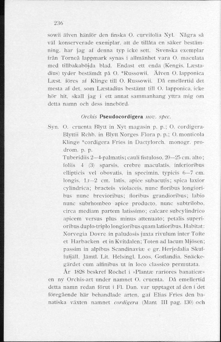 236 sowii äfven hänför den finska O. curviiolia Nyl. Några så väl konserverade exemplar, alt de tillåta en säker bestämning, har jag af denna typ icke sett.