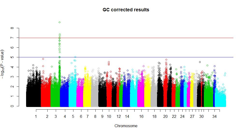 Figur 3. En Manhattan plot visar att vi har ett bra dataset som kan detektera befintliga associationer mellan egenskaper och genotyper.