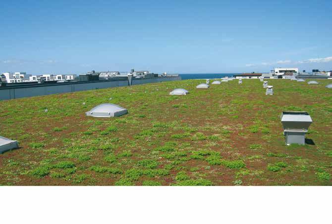 8 Veg Tech - för grönare städer VÄXTERNA ÄR BRA FÖR STADEN Takvegetationen minskar avrinningen En effektiv del i moderna dagvattensystem är vegetation på tak- och bjälklag.