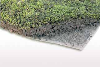 26 Sedumtak MATERIAL SEDUMMATTA Prefabricerade mattor med en blandad vegetation av sedum och mossor anpassade för nordiskt klimat.