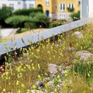 Sedum-ört-grästak 37 Fördelar med Veg Techs Sedum-ört-grästak!