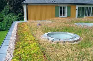 38 Sedum-ört-grästak BILDGALLERI - INSPIRATION Låt dig inspireras