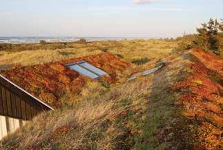 Sedum-ört-grästak 43 SYSTEMUPPBYGGNAD System: XSÖG 0-5 Uppbyggnad på låglutande takytor.