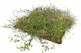 Gröna innergårdar och takträdgårdar 57 MATERIAL - TILLBEHÖR Med Veg Techs produkter för gröna gårdar får ni ett färdigt resultat från första dagen!
