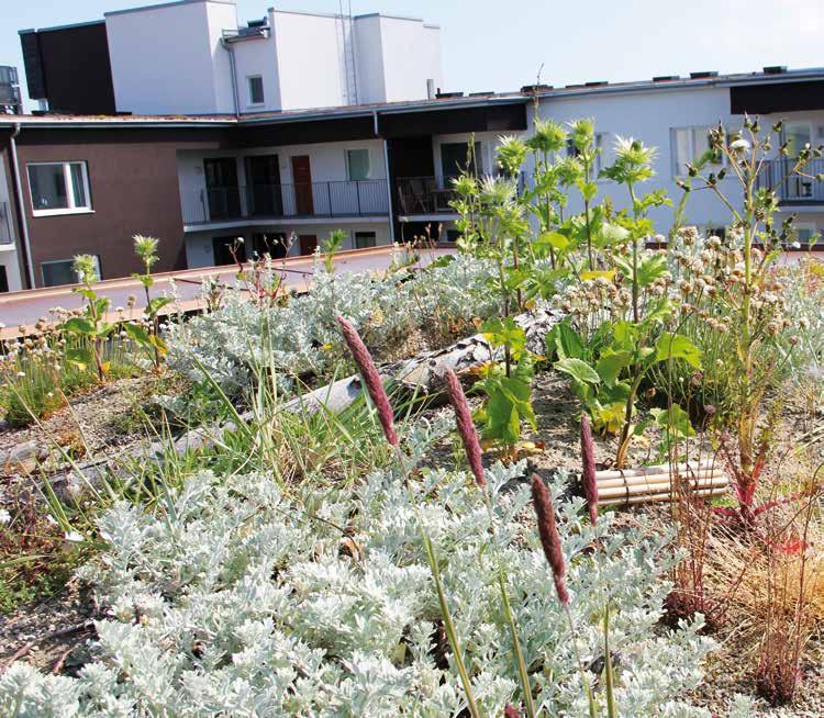 4 Veg Tech - för grönare städer Tidigare betraktades vegetationen bara som ett vackert inslag i stadsmiljön. I dag används växterna på allvar för att lösa tekniska problem.