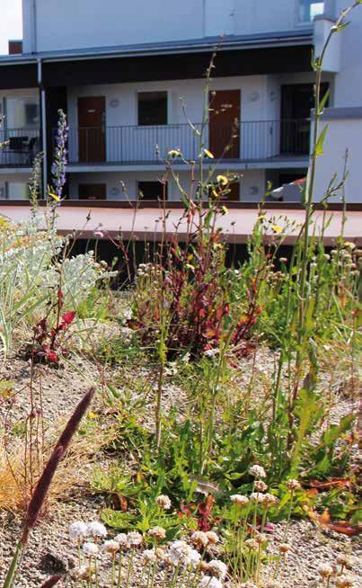 Veg Tech - för grönare städer 5 Fördelar för byggnaden Ett grönare byggande innebär inte bara stora fördelar för stadsmiljön utan också för den enskilda byggnaden.