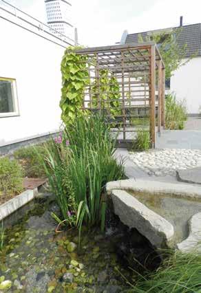 Den skyddande vegetationen stänger ute solens skadliga UV-ljus och tätskiktets åldrande bromsas. I bullriga miljöer uppskattas även den bullerdämpande effekten hos vegetation på tak och fasader.