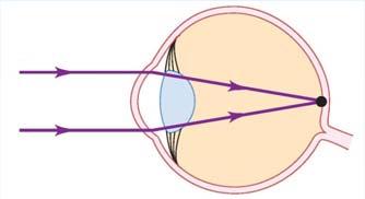 Geometrisk optik Ögat När punkten: kortaste
