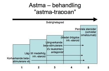 Teofyllin Är ett xantinderivat som relaxerar bronker. Exakt mekanism ej klarlagd, de är fosfodiesterashämmare och kan genom detta öka camp i cellen.