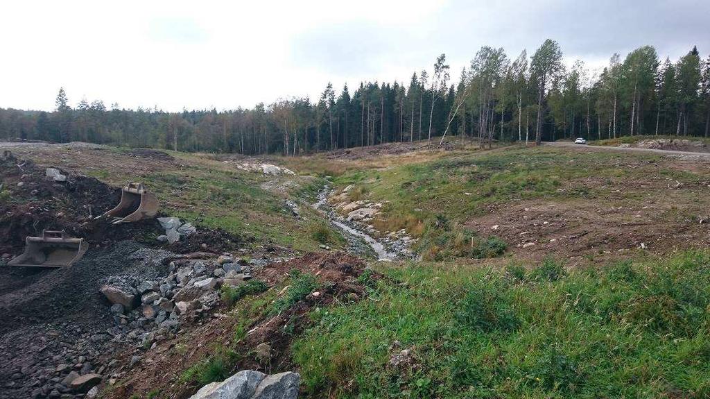 Området för kompensationsåtgärder ligger bakom trädridån till vänster i bild.