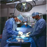 .. Measuring neural response is a bit painful to the patient. Electrodes must be kept in place.