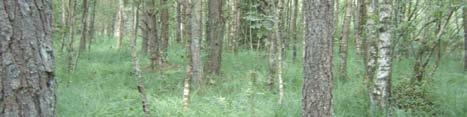 Närmiljö 109
