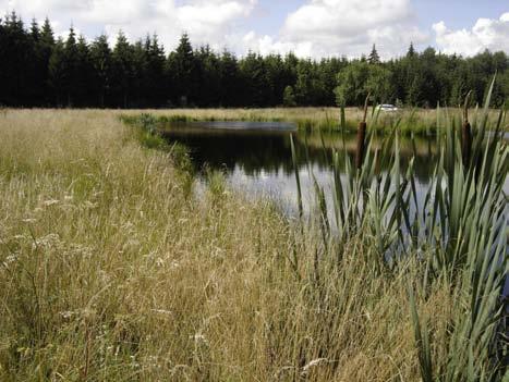 Närmiljö
