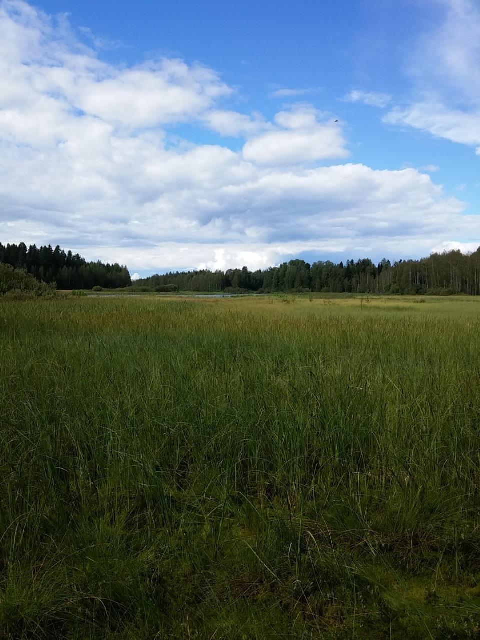 Vattenvårdsplan - Esse å Vattenvårdsplanen