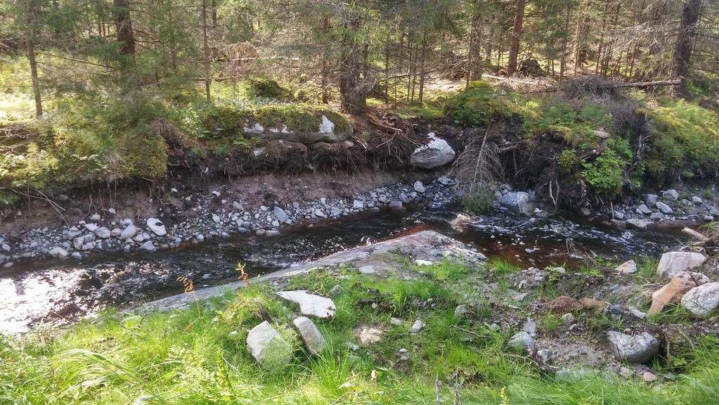 restaureringsobjekt samt samla in information för vattenvårdsplanen.