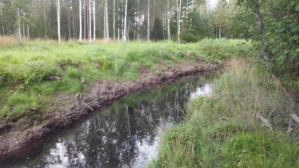 Bild 7. Rensad och enformig fåra. Bild 8. En mycket dåligt utförd överfart.
