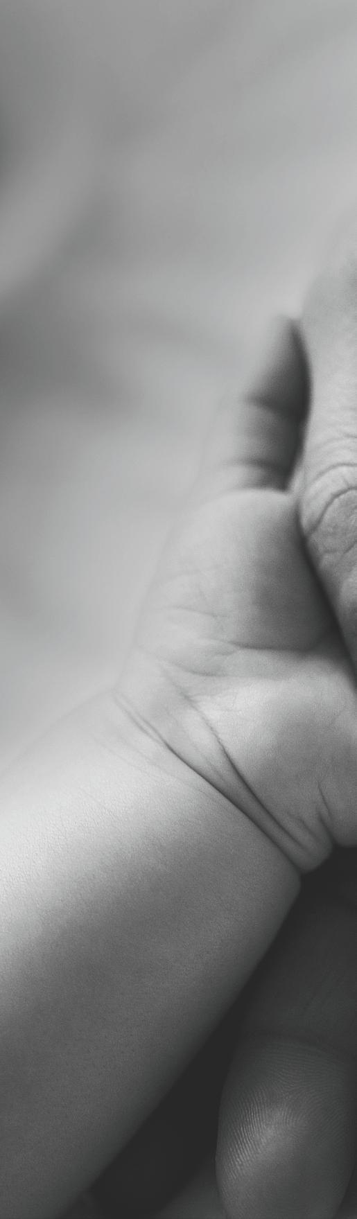 Innehåll Året i korthet 3 VD har ordet 4 Affärsidé, mål och strategier 6 IVF-behandling 8 Vitrolifes erbjudande 9 Business Unit ART Equipment 10 Marknad och försäljning 12 Värdekedjan 14 Organisation