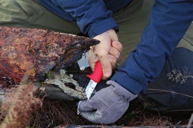 Biologisk mångfald säkras genom att bevara skogarna, gynna varierade skogslandskap, sätta nya plantor och skydda värdefulla livsmiljöer.